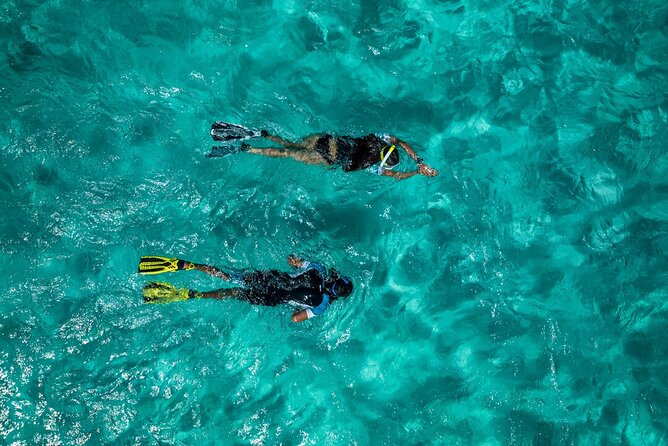 Snorkelling Trip at Ponta de São Lourenço Protected Area - Price and Value: What $42.24 Buys You
