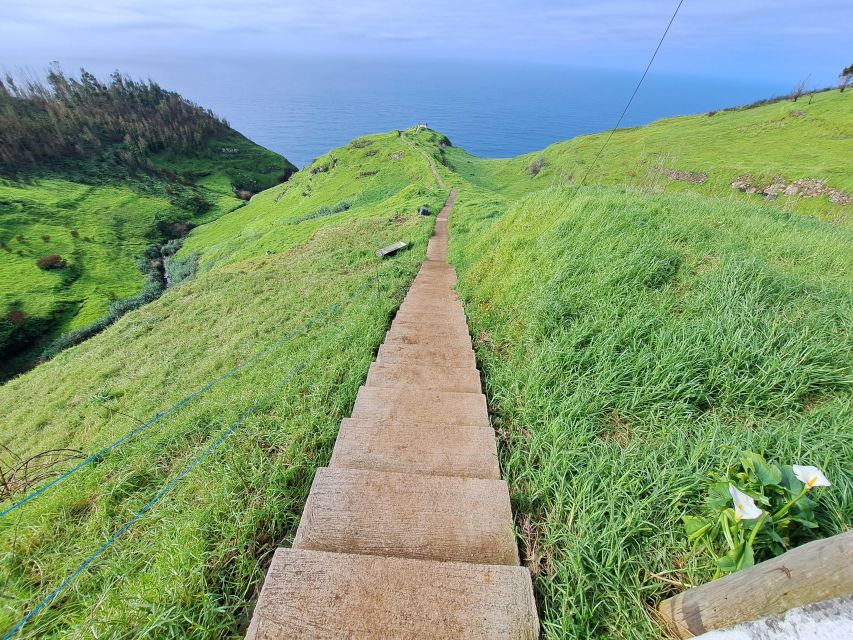 South Madeira: breathtaking coastal trip incl. Porto Moniz. - Madalena do Mar Banana Plantation Walk, Shady and Different