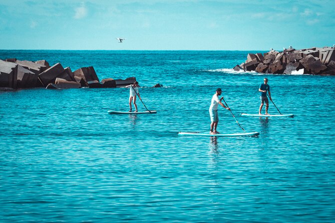 Stand Up Paddle Private Lesson in Calheta Beach - English support and the feel of a private lesson