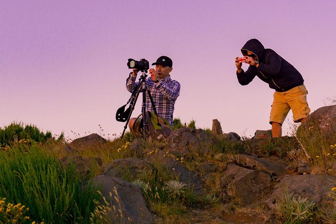 Sunrise Tour @ Pico Do Areiro | Half Day 4x4 Tour - Weather, Timing, and Price: What You Are Actually Paying For