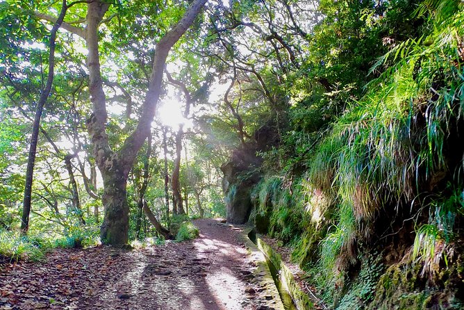 Sunrise Tour @ Pico Do Areiro | Half Day 4x4 Tour - FAQ