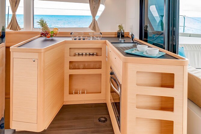 Sunset Catamaran Tour l Madeira Island - Marine Life Spotting: What To Look For