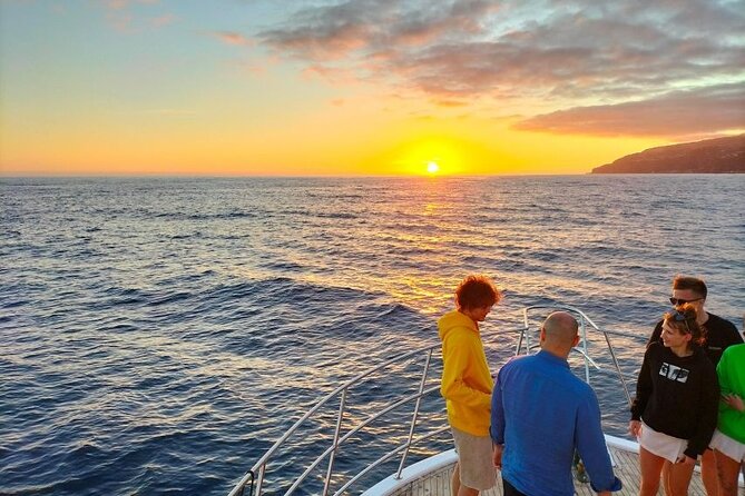 Sunset Cruise with Dinner on Board - Living sea on board: comfort, drinks, and a relaxed group size