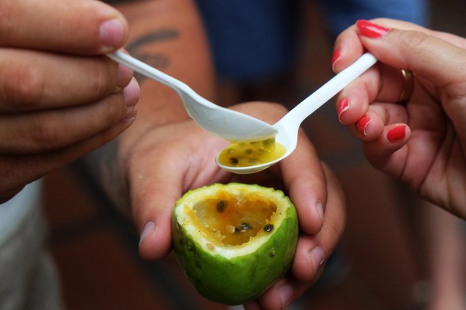 Taste Funchal: food, wine & cultural tour - First step in Funchal: a guided walk where you actually get to ask questions