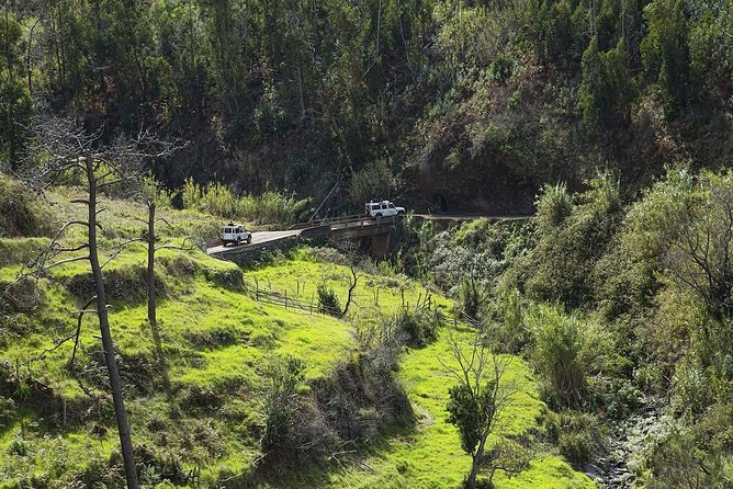 The Best of the South - Jeep Safari - Full Day - Shared Tour - Why a shared Jeep safari is such a smart way to cover southern Madeira
