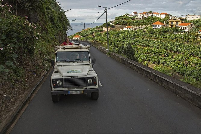 The Best of the South - Jeep Safari - Full Day - Shared Tour - Calheta Rum factory: tasting culture plus sweet treats