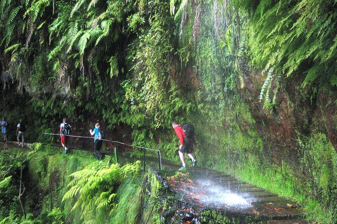 The King's Levada - Levada do Rei - Key things to know before you hike the King’s Levada (Levada do Rei)