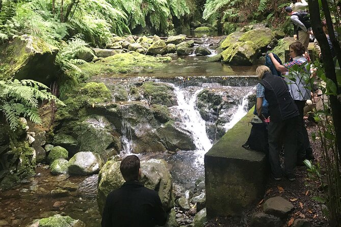 The King's Levada - Levada do Rei - Following the Levada do Rei from Quebradas, São Jorge