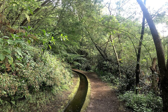 The King's Levada - Levada do Rei - Who should book the King’s Levada with Madeira Happy Tours