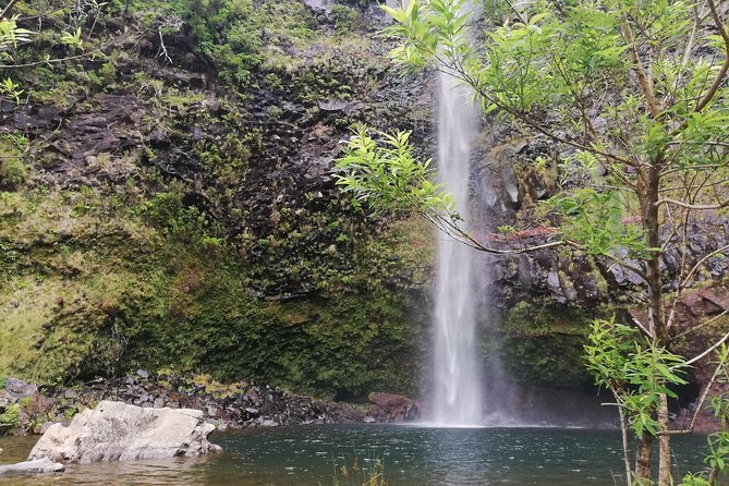 The Lakes Walk - Key highlights you’ll feel on the trail