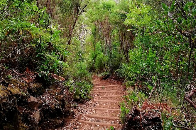 The Lakes Walk - The 10 km route: steps, pacing, and the Wind Lagoon moment
