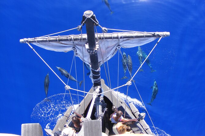 Time Travel on Columbus Replica Flag Ship in Madeira - Swim stop in summer: fun upgrade and what you should bring