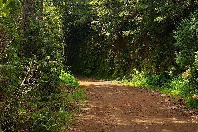 Traditional Sunday Market - Half Day Tour - 4x4 - Pico do Arieiro (1810 m): Madeira’s Highest Car-Accessible Peak