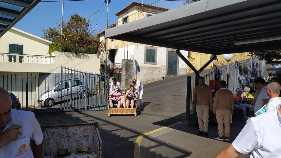 Tuk Tuk Monte Toboggan - Madeira Island - Should you book the Tuk Tuk Monte Toboggan tour?