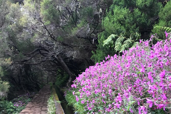 Twenty-Five Fountains Levada walks (private) - Timing: avoiding crowds without losing the magic