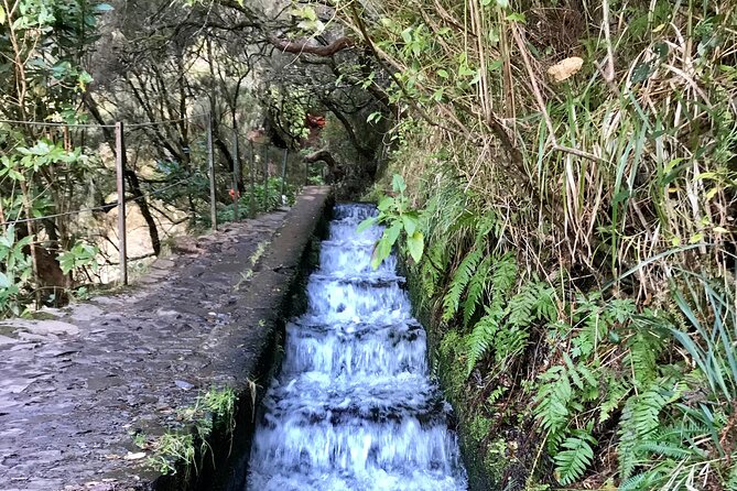 Twenty-Five Fountains Levada walks (private) - What I’d pack and wear for wet Madeira conditions