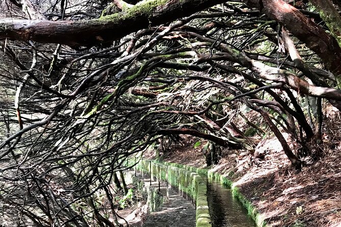 Twenty-Five Fountains Levada walks (private) - Who this walk suits best, and who should think twice