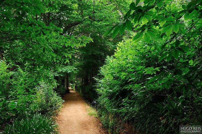 Vale Paraiso - Paradise Valley Walk - Key Points at a Glance
