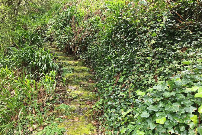 Vale Paraiso - Paradise Valley Walk - Why This Paradise Valley Walk Works So Well