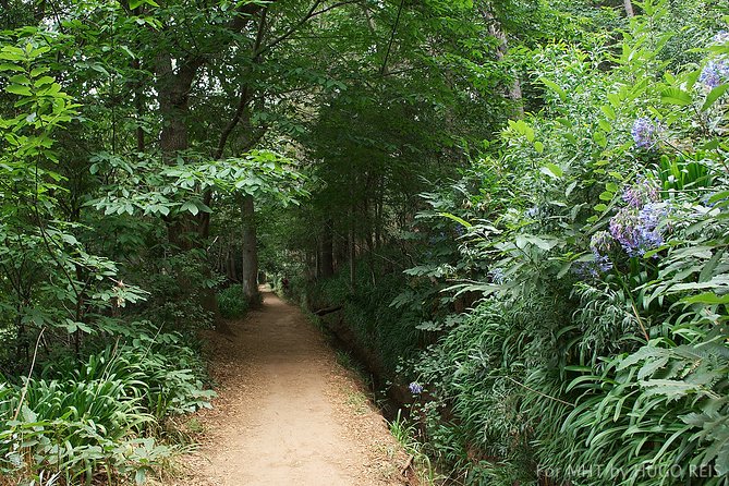 Vale Paraiso - Paradise Valley Walk - Getting to Camacha: The Start of the Madeiran Story