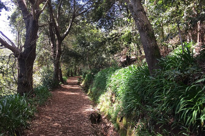Vale Paraiso - Paradise Valley Walk - Meeting Point, Pickup Options, and Timing That Matter