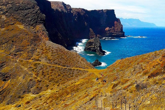Vereda da Ponta de São Lourenço Trail Walking Tour - Your guide and the nature lesson you actually use