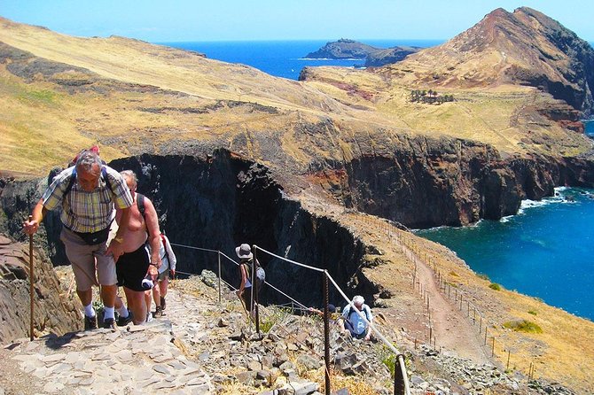 Vereda da Ponta de São Lourenço Trail Walking Tour - Price and value: what $46.96 buys you, and what you must plan