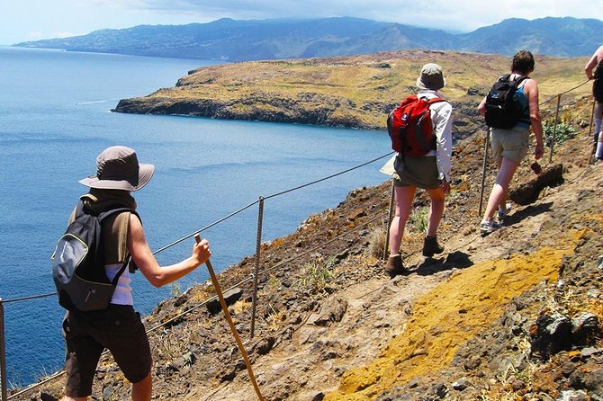 Vereda da Ponta de São Lourenço Trail Walking Tour - Who should book this walk, and who might feel out of place