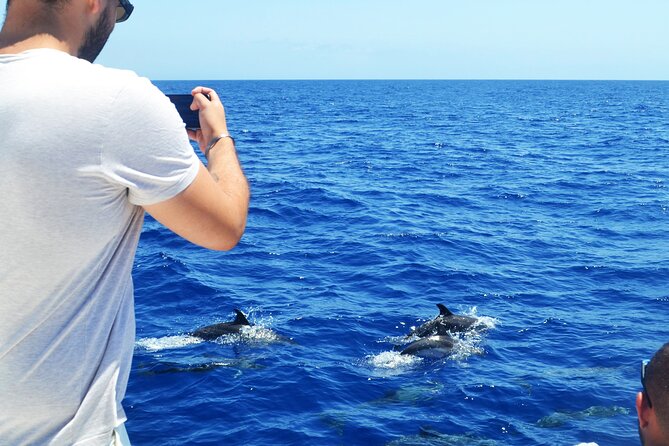 VipDolphins Luxury Whale Watching - Cabo Girao Swim and Snorkeling Stop: The Scenic Why of This Tour