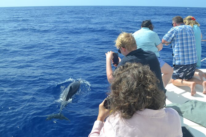 VipDolphins Luxury Whale Watching - Sea Conditions and Comfort: Choppy Happens, So Prep