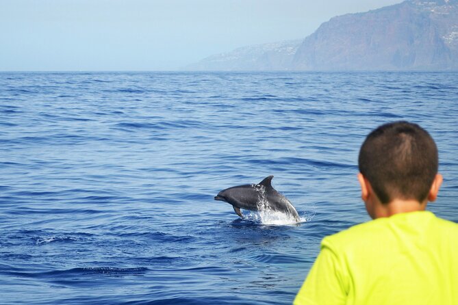 VipDolphins Luxury Whale Watching - The Crew Makes the Difference: Names You Might Hear