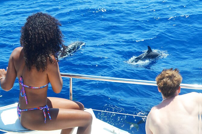 VipDolphins Luxury Whale Watching - Price and Value: Why This One Can Feel Like a Bargain
