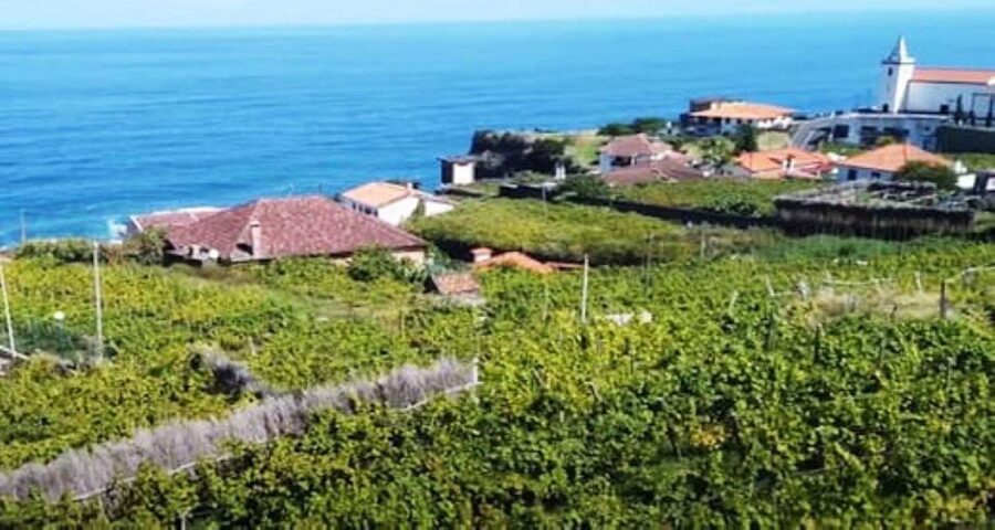 Visiting local Vineyard With Wine Tasting & Lunch included - Fajã dos Padres: cable car ride to a quieter kind of beach