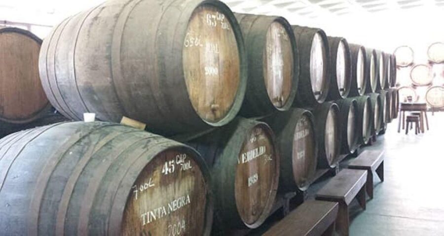 Visiting local Vineyard With Wine Tasting & Lunch included - Price and value: what you get for $188 per person