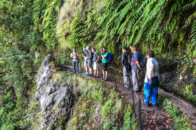 Walk with a local - Terrain reality check: slick dew, steps, and tunnel walking