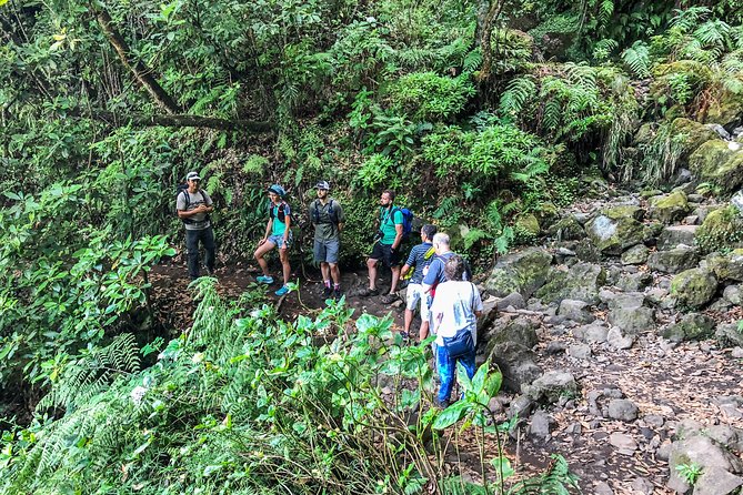 Walk with a local - What to pack for a 4 to 6 hour Madeira trail day