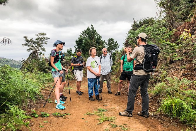 Walk with a local - Price and value for a 4 to 6 hour guided hike