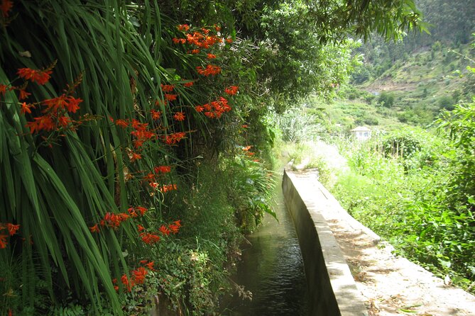 Walking Experience in the Serra D'Água Valley - Serra d’Água Valley: The Viewpoints You’ll See Along the 5 km Levada