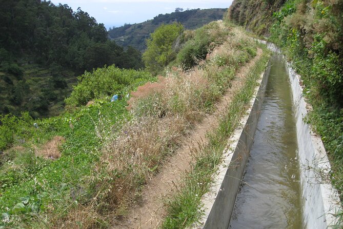 Walking Experience in the Serra D'Água Valley - Guide Talk: Flora, Fauna, and the Story Madeira Tells in Green