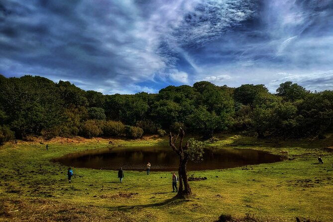 West Madeira Island Guided Tour & Fanal Mystic Forest - A west and north Madeira loop that saves you from the driving math