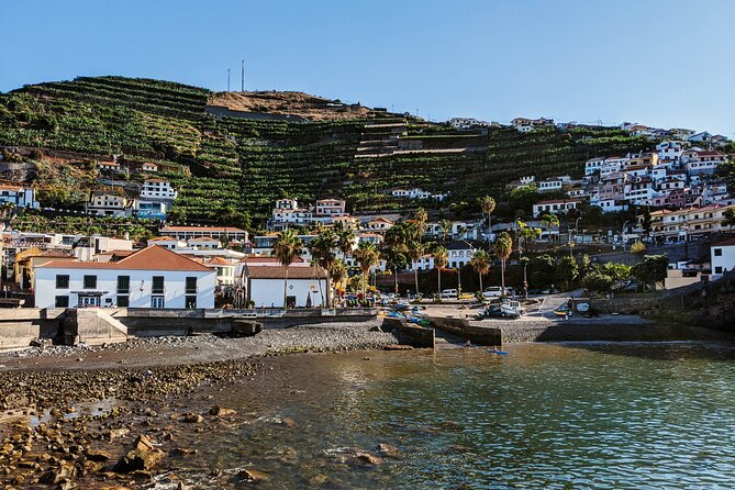 West Madeira Island Guided Tour & Fanal Mystic Forest - Meeting point, pickup in Funchal, and how the 7-hour day feels