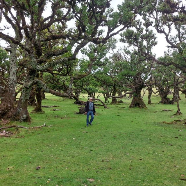 West Madeira:, Laurel Forest, Waterfall, Rock Pools, Walk - How long you really have at each stop (and why it matters)