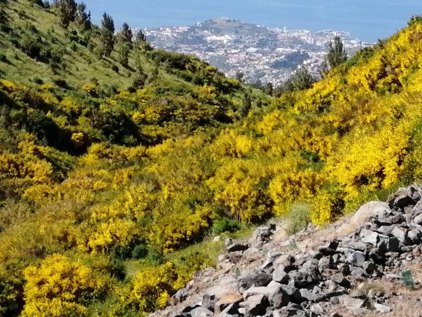 West Madeira:, Laurel Forest, Waterfall, Rock Pools, Walk - What kind of traveler should book this west day trip