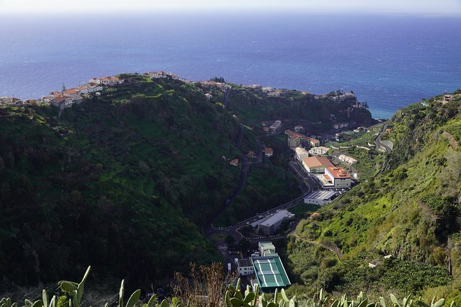 West Tour - 4x4 (Small Group) - Praia do Seixal: Black Sand, Vine Hills, Basalt Cliffs, and Waves