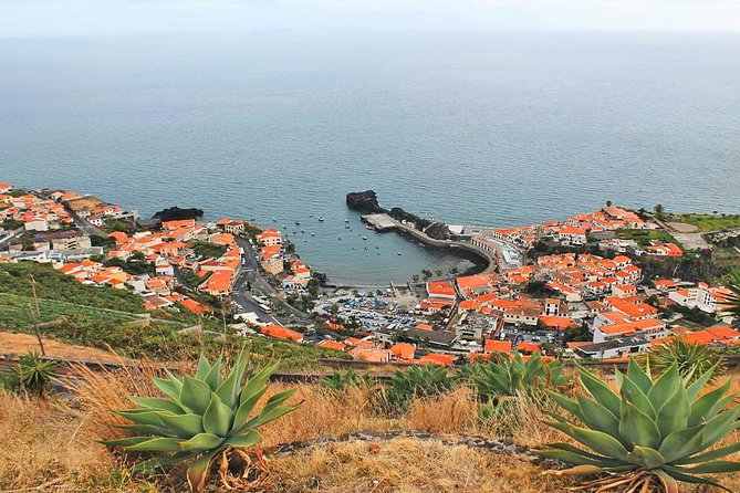 West Tour-Fanal Forest & Porto Moniz Natural Pools Small Groups - Why the West Side Route Feels Like a Best-Of Day
