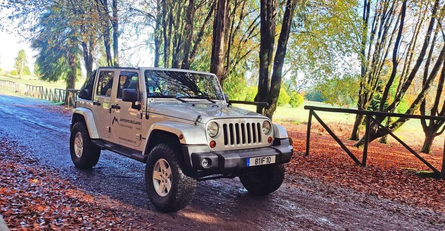 West tour - Porto Moniz VIP 4X4 Wrangler Tour 8h trip - Paúl da Serra at 1500 meters: the plateau change you can feel in your legs