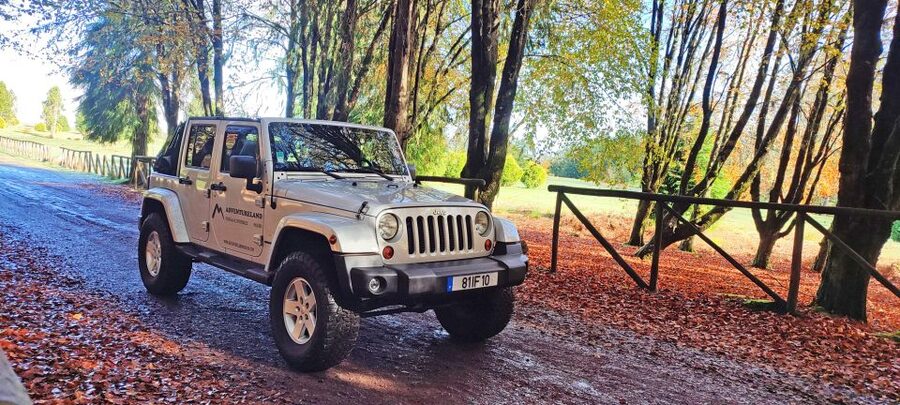 West tour - Porto Moniz VIP 4X4 Wrangler Tour 8h trip - Fanal Forest UNESCO laurel: where the guide really earns their paycheck