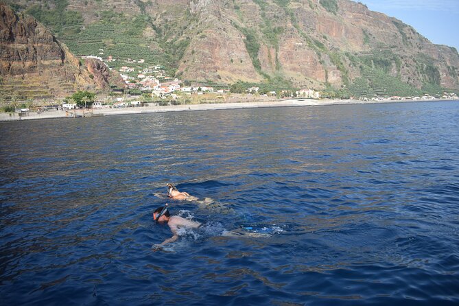 Whale and Dolphin Watching Tour in Madeira - Refreshments onboard: included drinks that actually feel useful