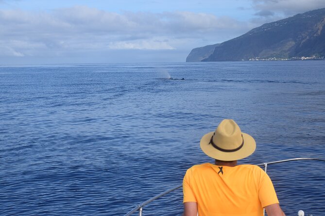 Whale and Dolphin Watching Tour in Madeira - Departure times and the sunset trade-off