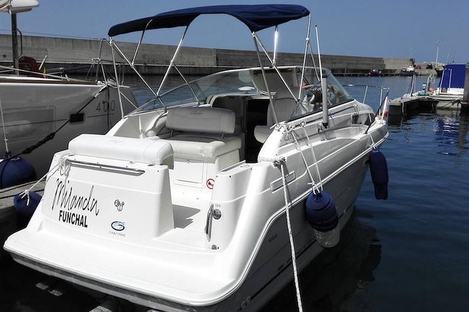 Whale and Dolphin Watching Tour in Madeira - Miranda yacht and small-group comfort (it feels less “tour”)